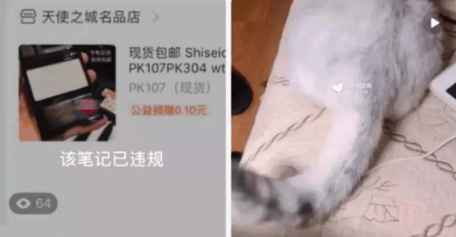 QQ截圖20190730145945.png QQ截圖20190730145945.png