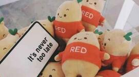 小紅書達人誤區(qū) 小紅書達人誤區(qū)