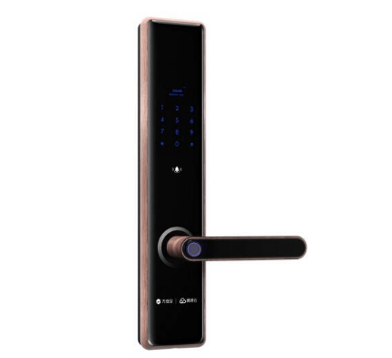 智能門鎖的廠家 智能門鎖的廠家