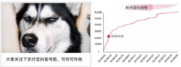 一條抖音為品牌帶來2.7億次曝光？企業(yè)抖音藍V最全攻略！