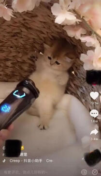 再來一份抖音冷啟動(dòng)做號養(yǎng)號經(jīng)驗(yàn)！ 微商引流 小視頻 抖音 經(jīng)驗(yàn)心得 第9張