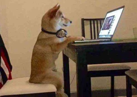 為什么越來越多的人熱衷于在抖音追劇？