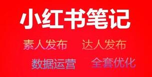 QQ截圖20201103142614.jpg QQ截圖20201103142614.jpg