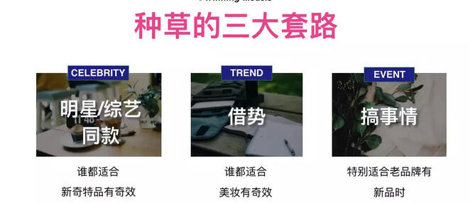 玩轉(zhuǎn)社交電商，小紅書種草六五攻略